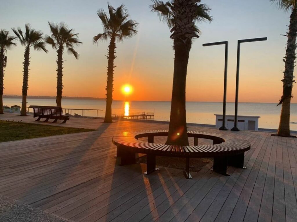 Morbi vitae purus dictum, ultrices tellus in, gravida lectus. 