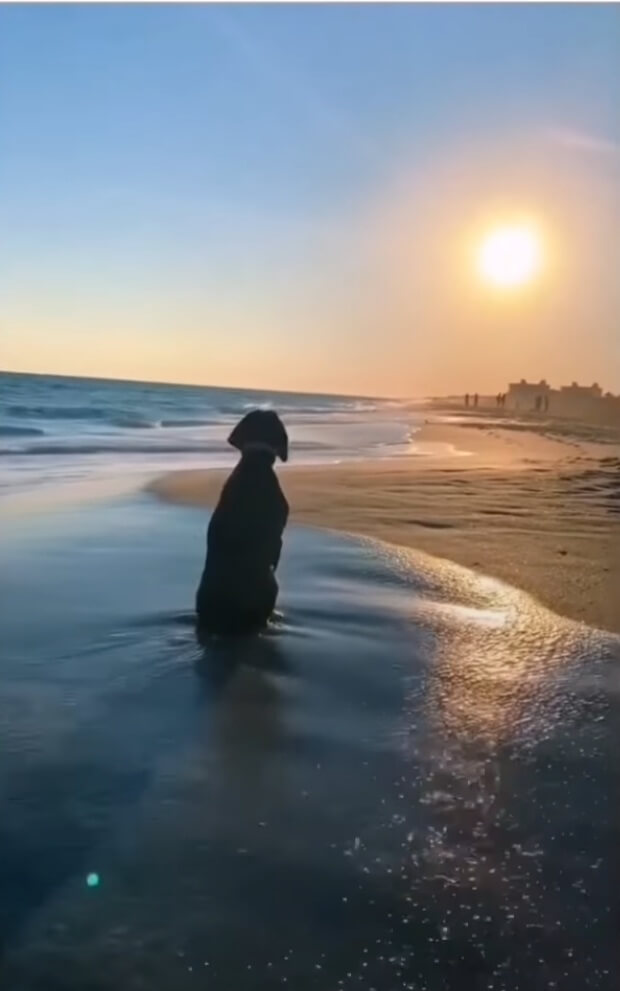 Morbi vitae purus dictum, ultrices tellus in, gravida lectus. 